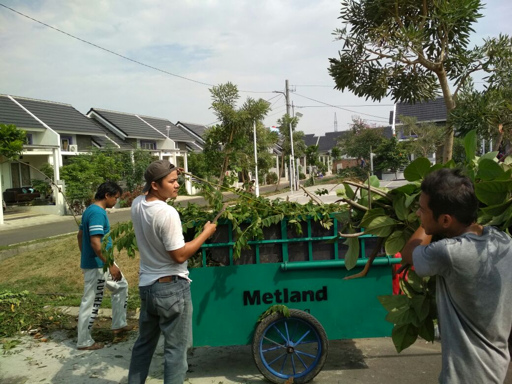 pak rt
